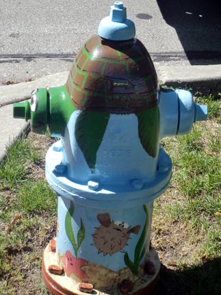 Nemo - 433 S. Illinois (4)